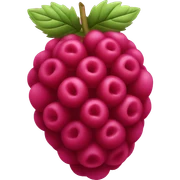 raspberry sticker