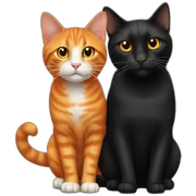 orange cat and black cat sticker