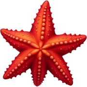 sea star  sticker