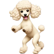 Cream poodle dancing sticker