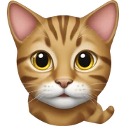 Tabby cat sticker