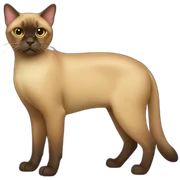 Burmese Cat Full Body sticker