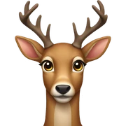 Deer sticker