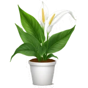 Peace lilies plant sticker