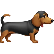 Perro salchicha  sticker
