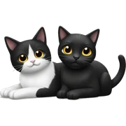 Black cat & black and white cat sticker