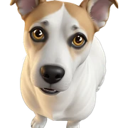 realistic dog looking at viewer sticker