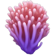 Coral sticker