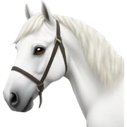 White horse sticker