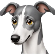 greyhound teen sticker