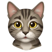 Cats sticker