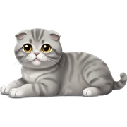 Gray Scottish fold laying sticker