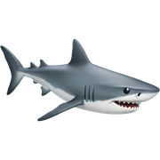 shark sticker