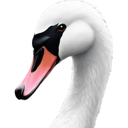 Black and white swan sticker