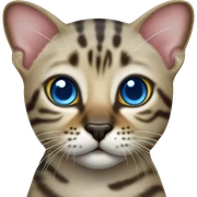 Seal Bengal cat with Blue eyes standing sticker