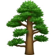 pine tree sticker