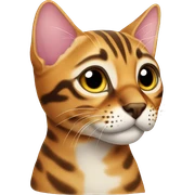Bengal cat sticker
