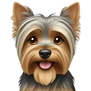 Yorkshire Terrier, beige-gray with brown eyes and rubber bands on his head  sticker