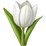 white tulip bouquet  sticker