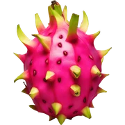 Dragon fruit  sticker