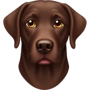 chocolate lab sticker