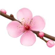 Cherry Blossom sticker