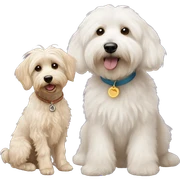 Maltese and goldendoodle  sticker