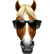 Horse with sunglasses  sticker