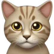 Gato sticker