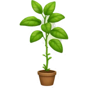 plant sticker