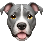 Gray pitbull sticker