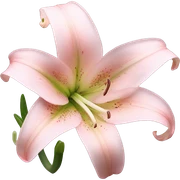 light pink lilium sticker