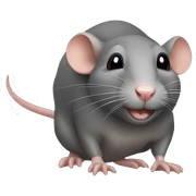 Rat sticker