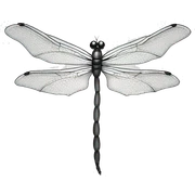 Elegant dragon fly icon made with line sticker