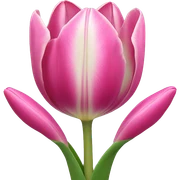 Tulip sticker