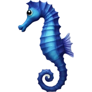 Seahorse sticker