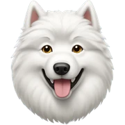 Samoyed sticker