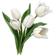 white tulip bouquet  sticker