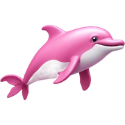 pink dolphin  sticker
