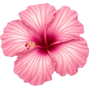 Light pink hibiscus  sticker