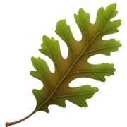 leaf sticker