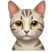 román cat sticker