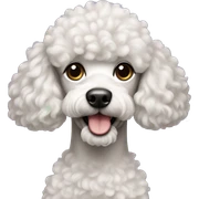 poodle sticker