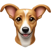Dachshund corgi mix dog sticker
