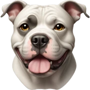 american bully sticker