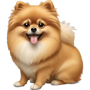 Pomeranian sticker