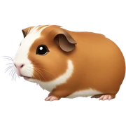 Guinea pig sticker