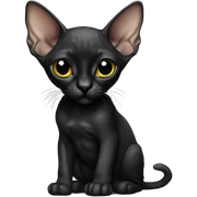 black kitten sphynx wearing black t-shirt  sticker