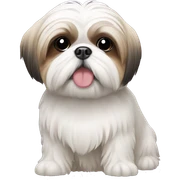 shih tzu sticker
