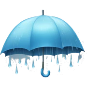 rain  sticker